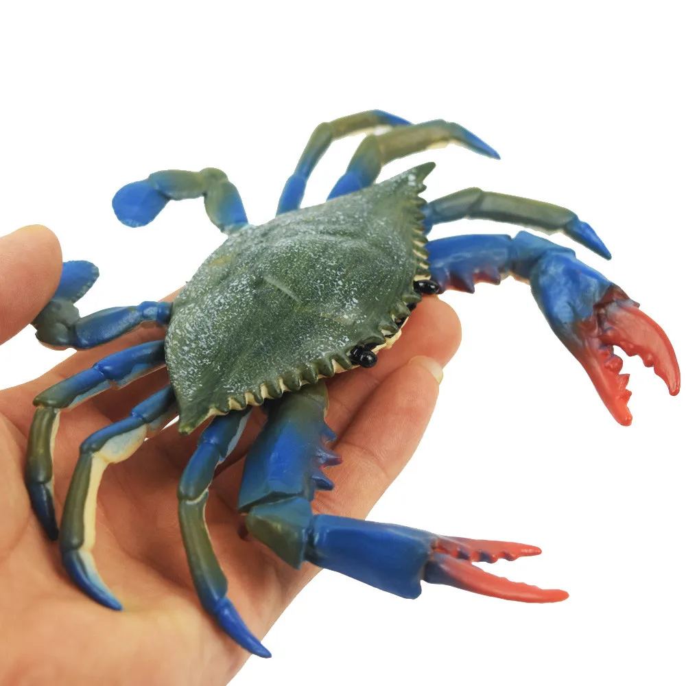 Обучающие игрушки для детей модель мойки Игрушечная с имитацией краба