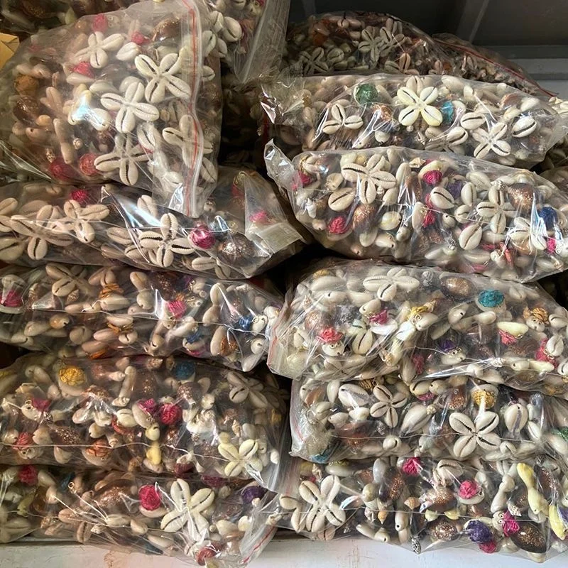 

Natural shell conch turtle creative small ornaments handicrafts