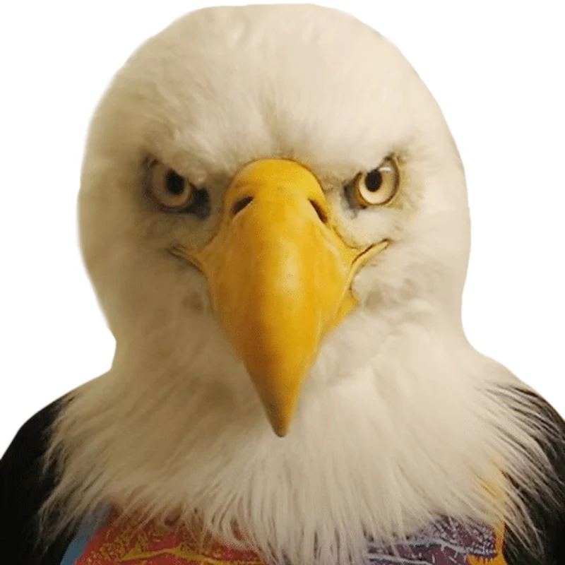 Animal Design Hoofddeksels Eagles Husky Hond Zwarte Kat Halloween Hoofddeksels Voor Maskerade Kostuum Partij XH8Z Animal Design Hoofddeksels Eagles Husky Hond Zwarte Kat Halloween Hoofddeksels Voor Maskerade Kostuum Partij XH8Z
