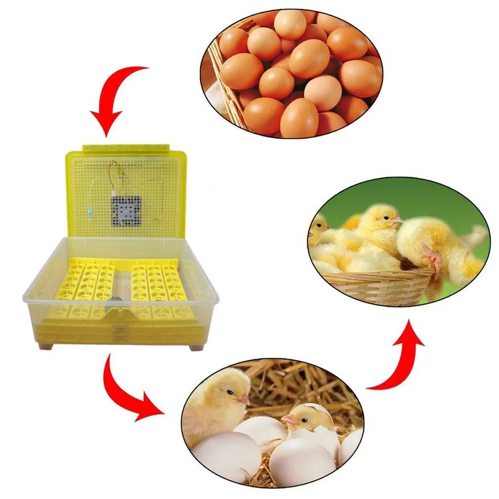 

48 Hole Automatic Egg Turning Incubator Digital Incubator Temperature Control for Chicken Poultry Hatcher Ducks Goose Birds