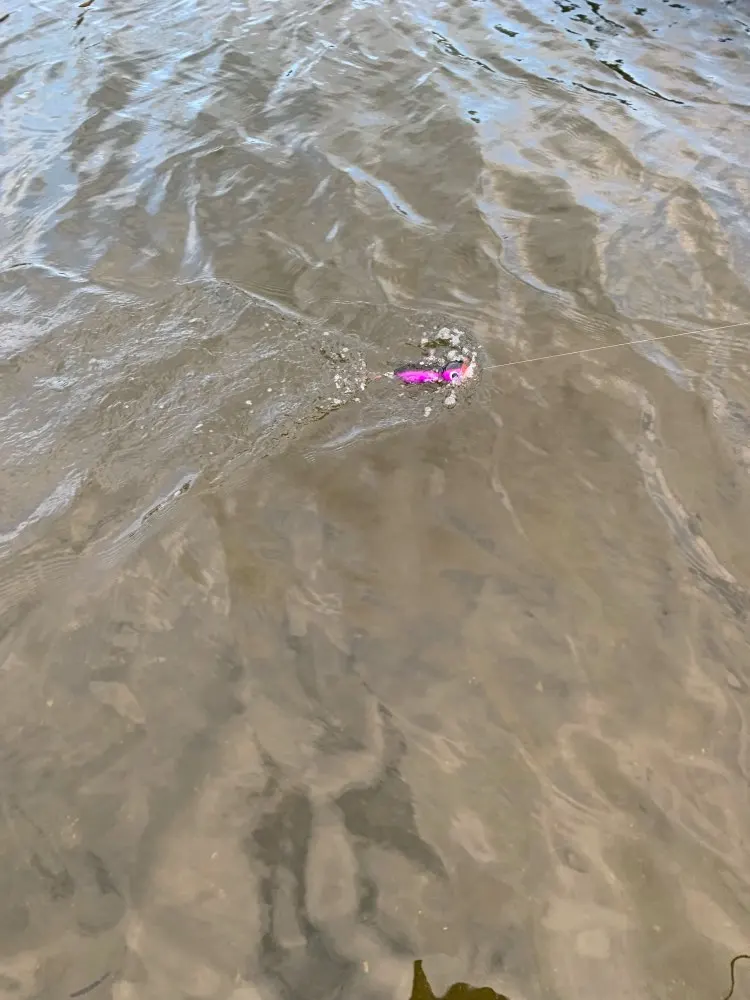 MIZUGIWA лодка приманка поппер для рыбалки соленой воды большая игра Topwater GT9 приманка Handcraf деревянная приманка крючок mustad Bass Карп Leurre Dur De