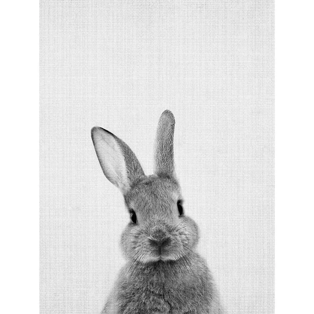 1 шт. картина с кроликом Кроликом кавайная хвостом кролика Настенная