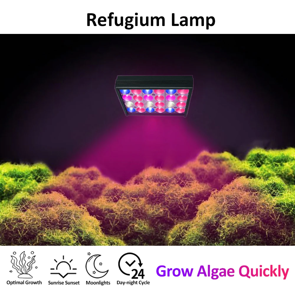 Plants Aquarium Led Lighting Refugium Lamp Led Lighting For Seaweed Filter / Refuge S16
