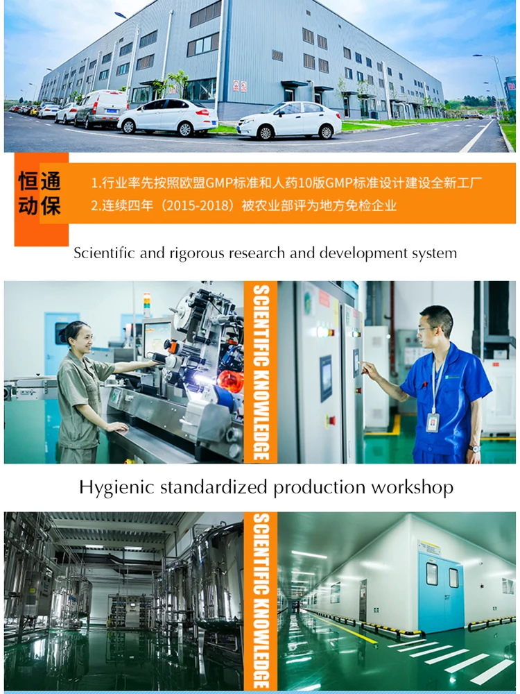 CHZKDog диарея кошка домашнее животное энтерит медицина рвота бактерии инфекция