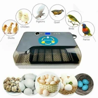 egg incubator digital fully automatic 12 eggs poultry hatcher for chickens ducks e2s