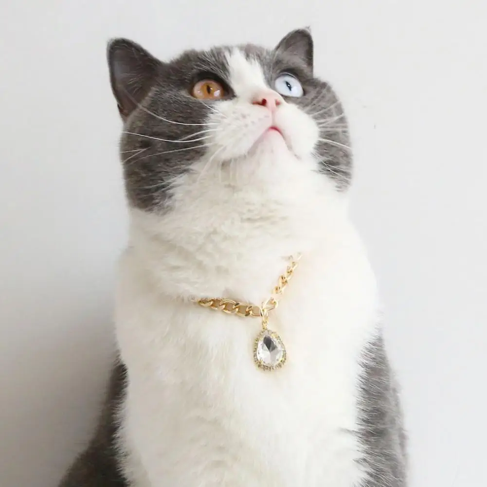 

Хороший ошейник для домашних животных, регулируемый ошейник 5 цветов, ожерелье для воротника для щенка, устойчивое к выцветанию ожерелье, ак...