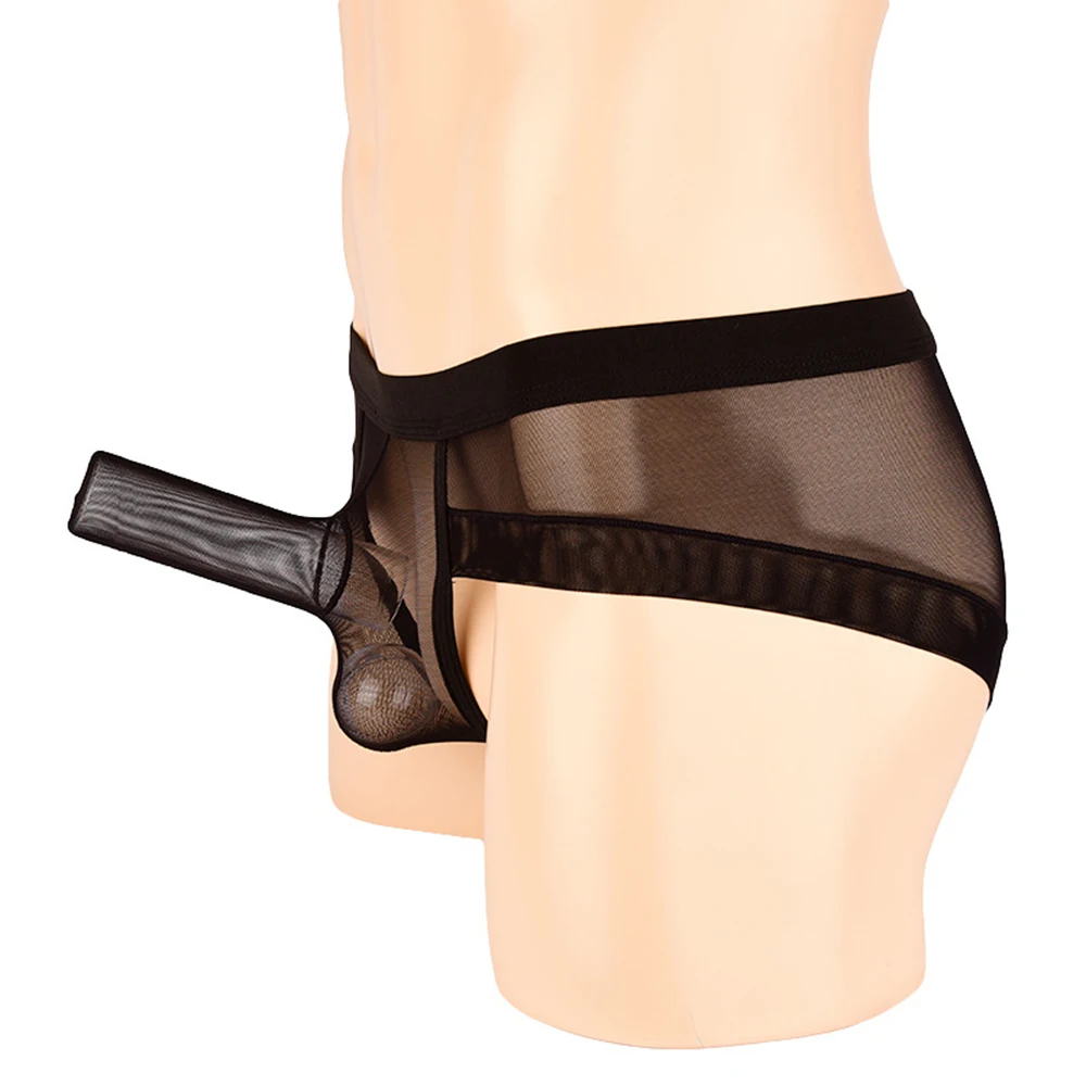 Men's Sexy Low Rise Briefs See Through Penis Pouch Sheath Elephant Trunk Breathable Mesh Underpants Lingerie Men Erotic Panties |