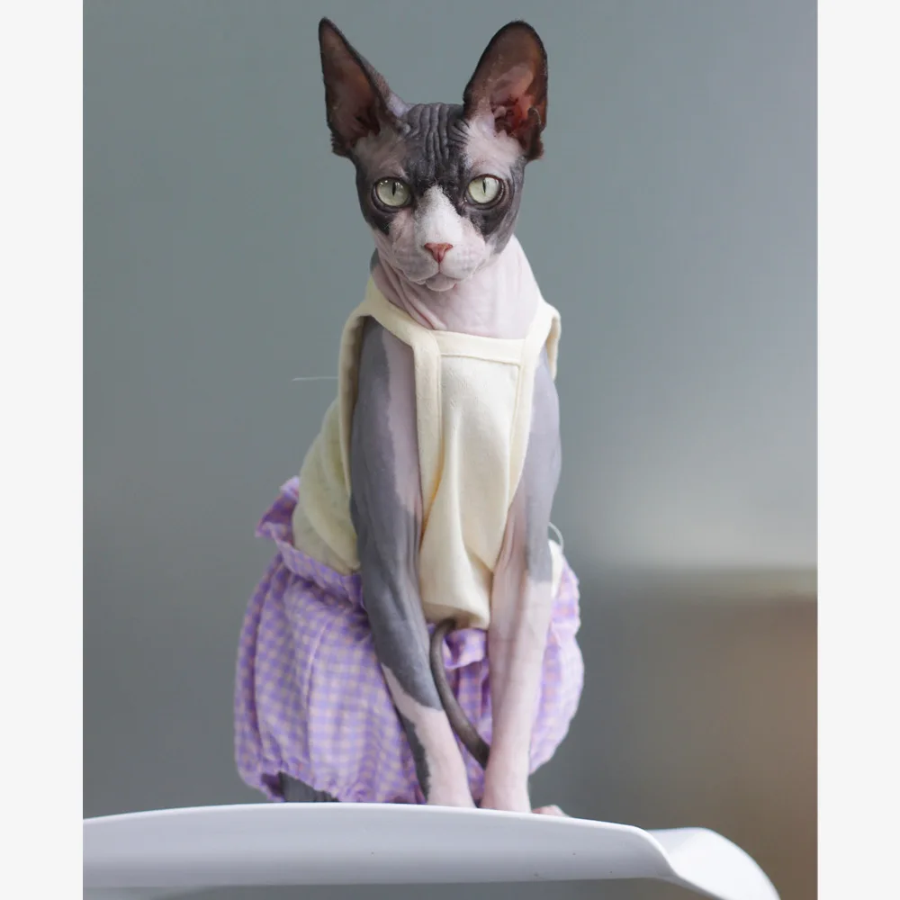 

Sphinx Hairless Cat Clothes Summer Thin Sling Jumpsuit Four-legged Pet Clothing Sun Protection Cats Dresses Small Dog Dress
