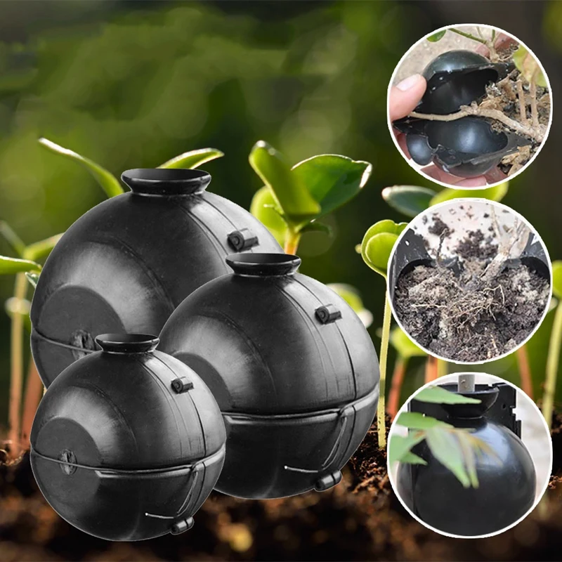 

10Pcs Plant Rooting Ball Grafting Rooting Gg Box Breeding Case Plant Root Gg Box for Garden 8cm in Diameter