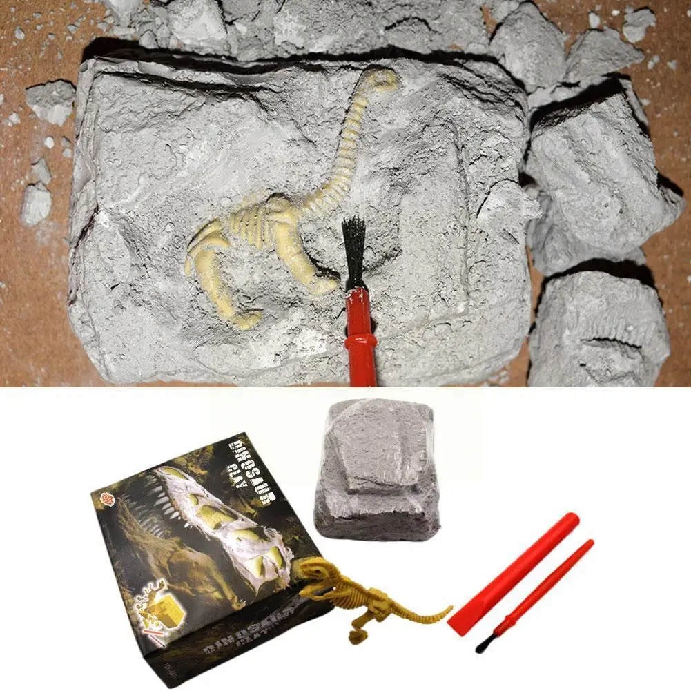 

Children's Toy Archaeological Excavation Simulation Dinosaur Elementary Educational Know Toys School Students Trumpe G2m9