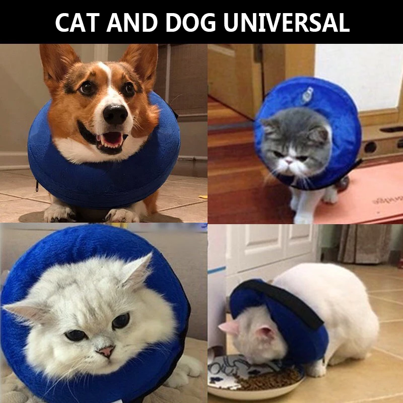 

Inflatable Pet Collar Cat Dog Collar Elizabethan Collar Kitten Puppy Neck Protective Circle Collar Puppy Neck Protection Ring