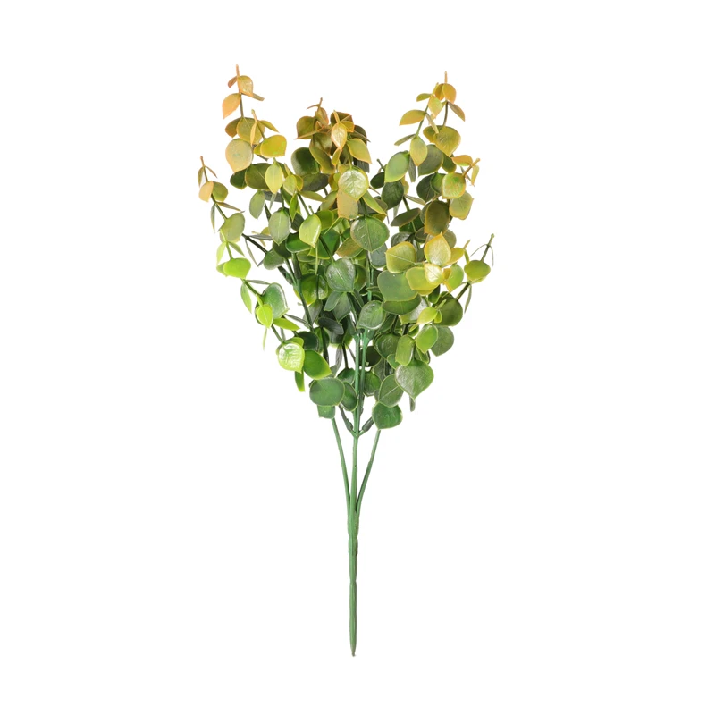 Натуральные высушенные цветы не выцветают ветки эвкалипта свежий лист