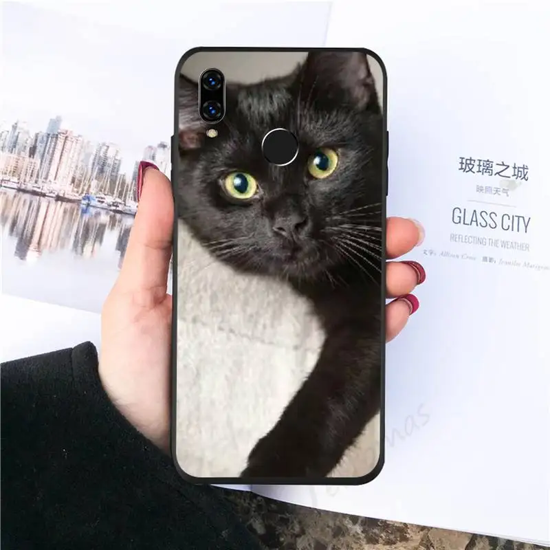 

Black Cat animal coque shell Phone Case For Huawei Honor 7C 7A 8X 8A 9 10 10i Lite 20 NOVA 3i 3e