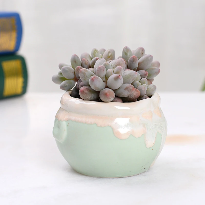 Креативное домашнее украшение Миниатюрные модели цветочных горшков потоковая