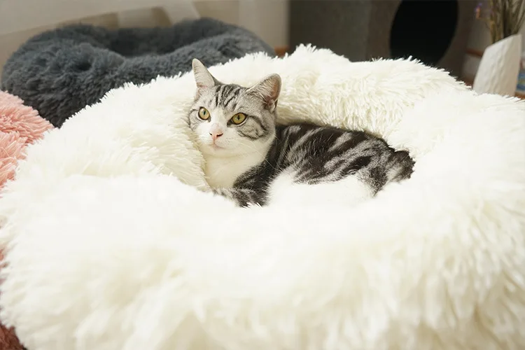 Супермягкая кровать для питомца круглая теплая зимняя собаки и кошки длинный