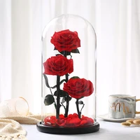 eternal rose in glass cover eternal rose glass preserved fresh rose glass valentines day romantic rose glass immortal rose