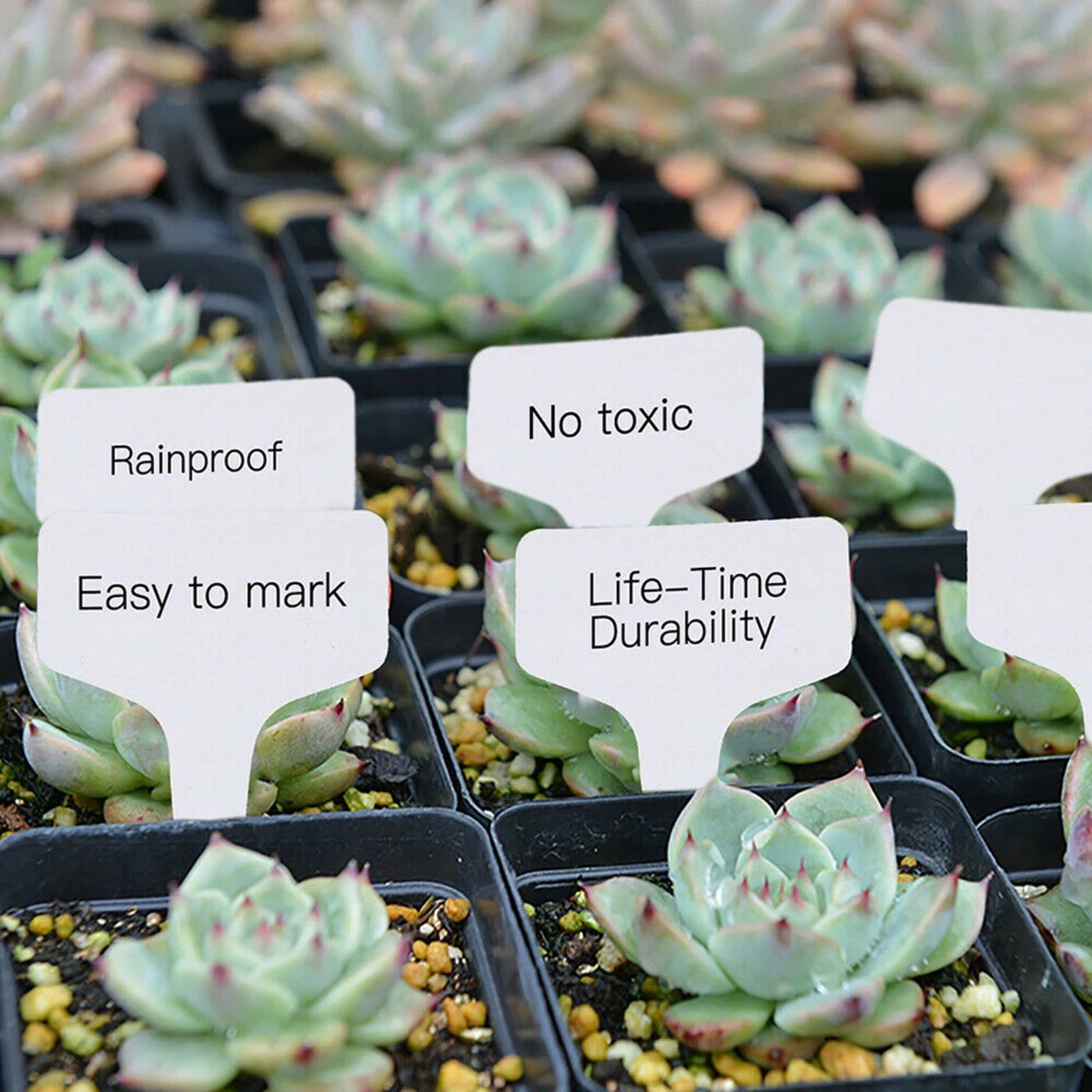 

100/200 PCS PVC T-type Plants Pot Insert Labels Reusable White Garden Plant Sorting Sign 10*6cm Waterproof Markers Plant can CSV