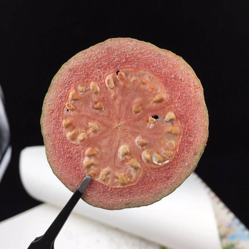 

5pcs Pressed Dried Red Guava Slices Fruit Plant Herbarium For Jewelry Postcard Invitation Card Phone Case Bookmark Making DIY