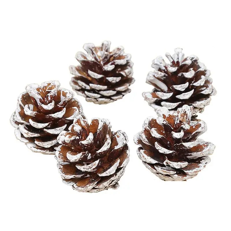 12 шт. натуральные сосновые конусы реквизит для фотографий аксессуары
