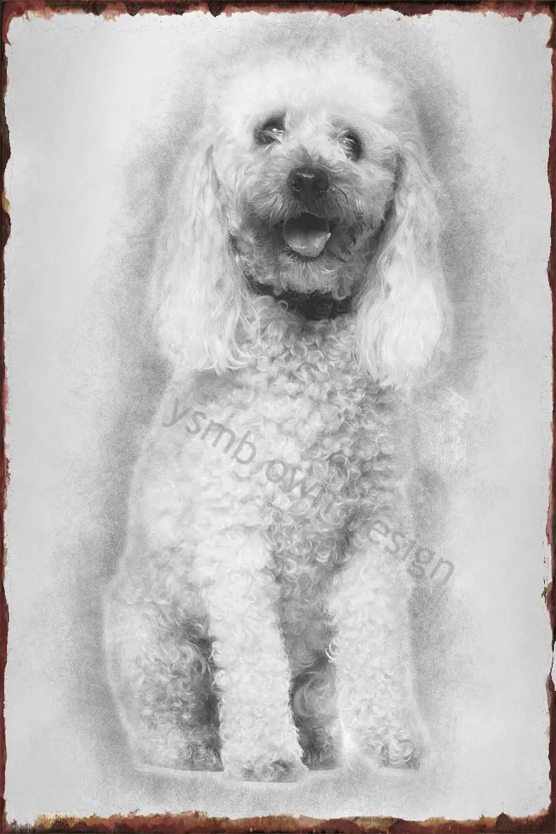 

Оловянная табличка в стиле ретро с металлическим знаком, 13 лет