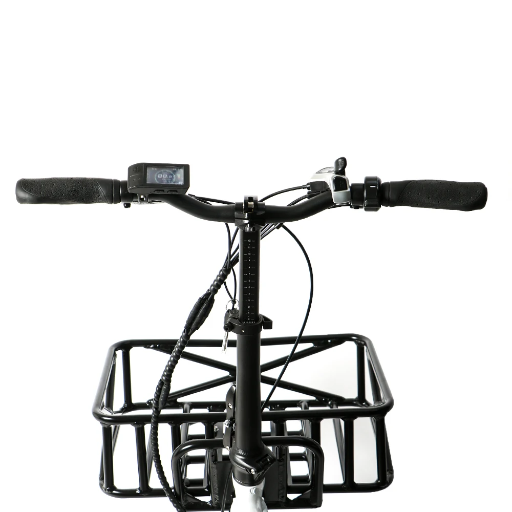 Ebike 24 дюймов 48V750W грузовой Ebike с задней ступицей двигателя и 500C красочный дисплей для семьи или UberEats доставки/uberEats