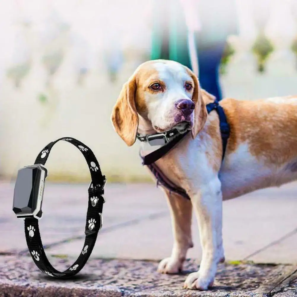 Трекер для домашних животных с микрофоном локатор собак и кошек определение