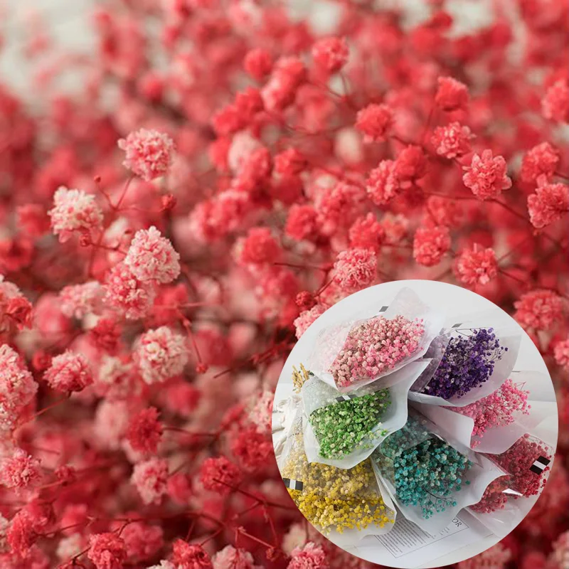 Букет из цветов сушеная Сохраненная год искусственные цветы Гипсофилы для