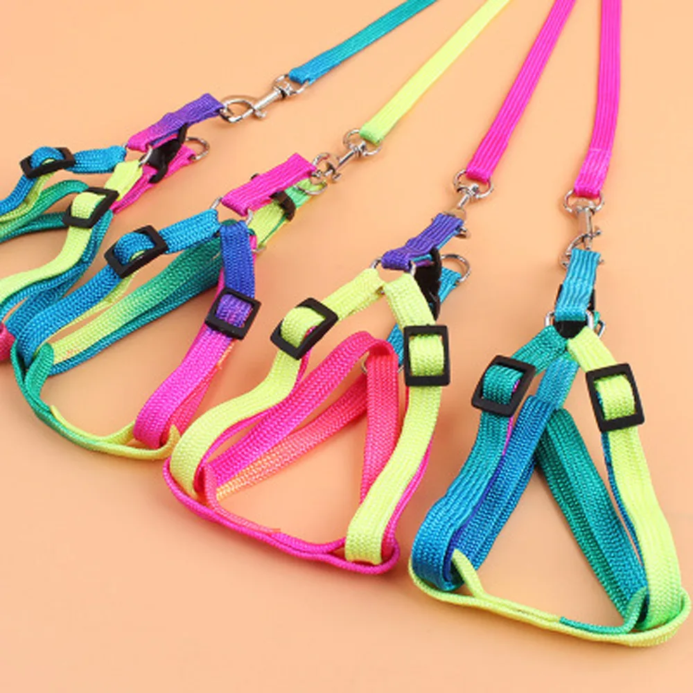

Adjustable Pet Cat Puppy Dogs Leash Harness Nylon Colorful Puppy Lead Leashes For Small And Large Dogs Walk Dog Leash Wholesale