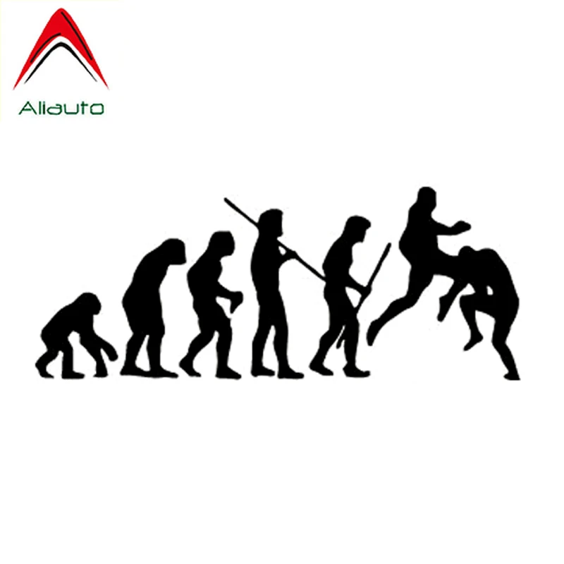 Автомобильная наклейка Aliauto интересная Спортивная эволюция боевые искусства