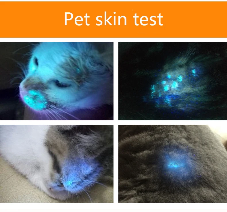 

Lightweight Hand-Held Wood's Lamp Wavelength Ultraviolet Diagnostic UV Skin Fungal Detection Analyzer +flashlight Function