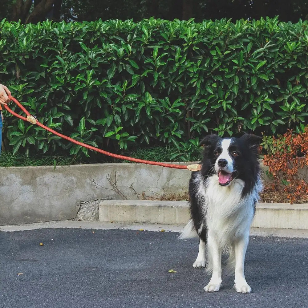 Светоотражающий длинный нейлоновый поводок для больших и маленьких