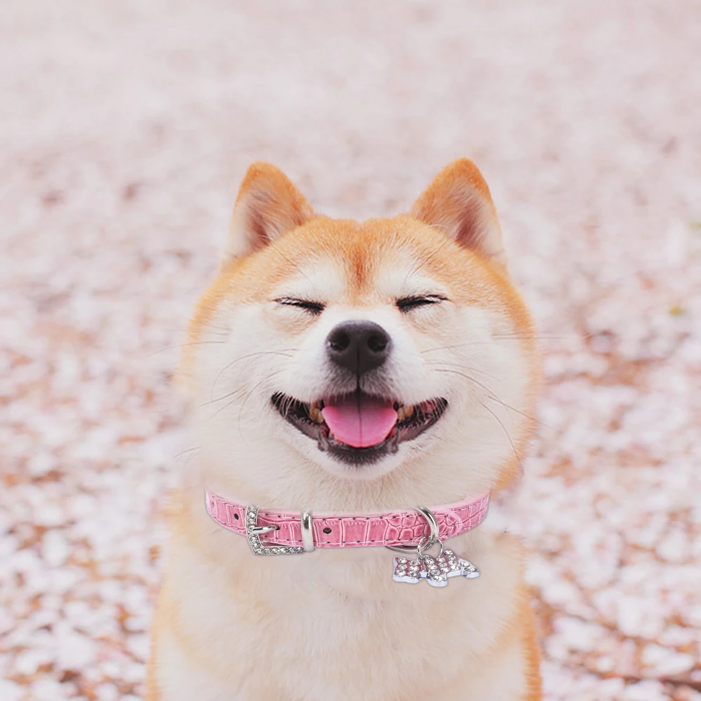 Ошейник Стразы для домашних животных с подвесной биркой ошейники из