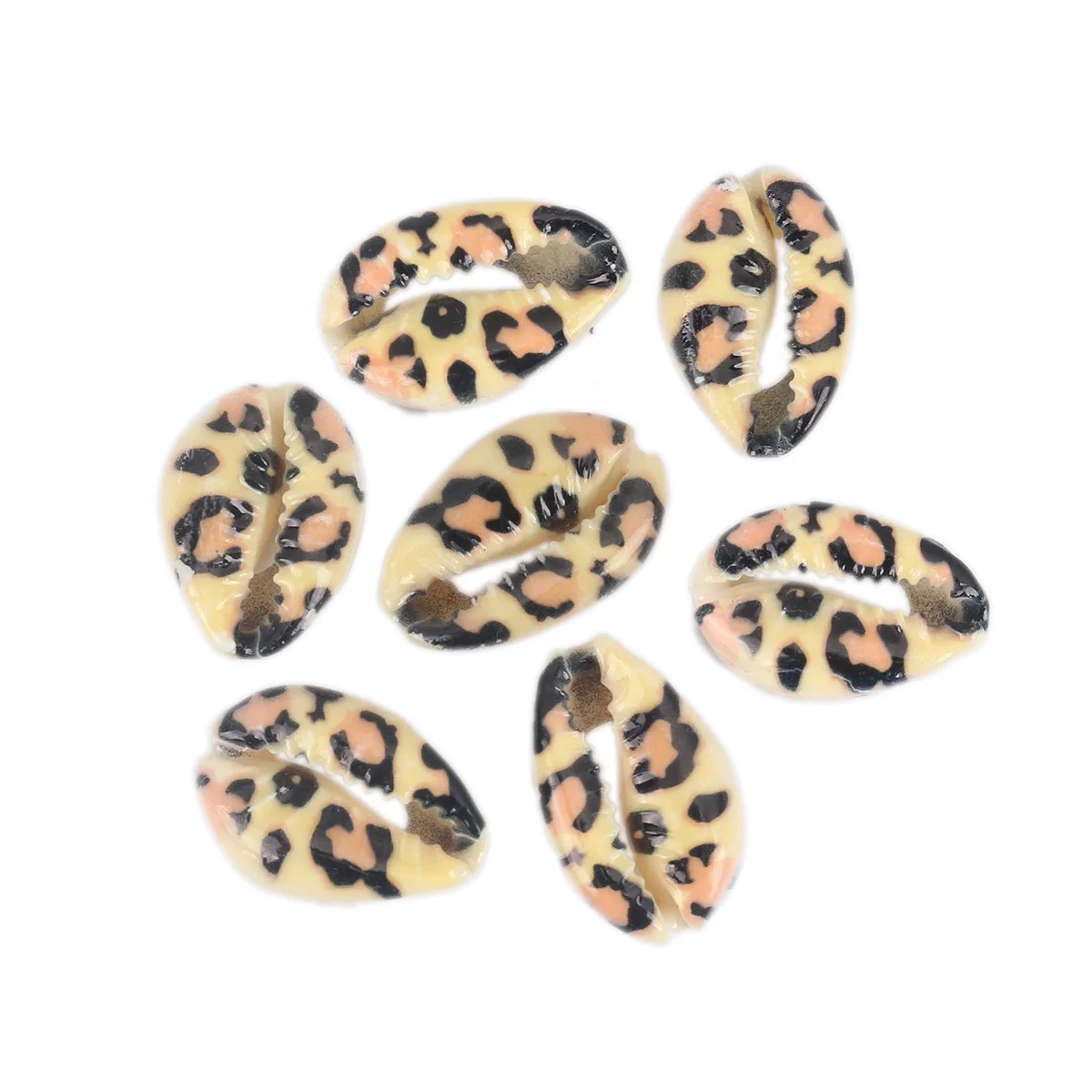 DoreenBeads натуральный корпус свободные бусины раковины/морская улитка многоцветный