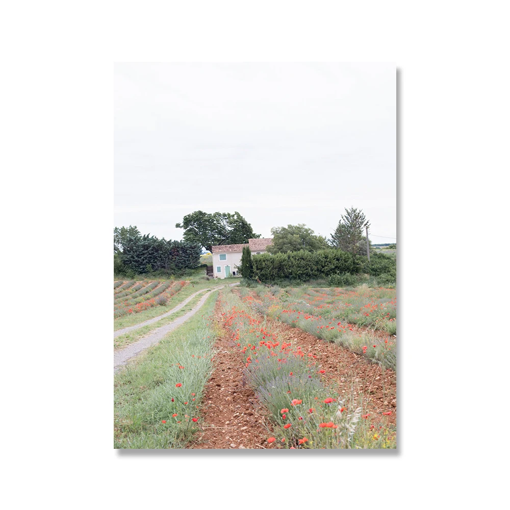 

Wheat Chrysanthemum Poppy Landscape Poster Nordic Style Waterproof Ink Canvas Print Painting Modern Bedroom Decoration