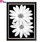 Алмазная 5D картина сделай сам с двумя цветами, полное покрытие, Новое поступление, черно-белая Настенная картина, вышивка стразами, распродажа, мозаика с маргаритками