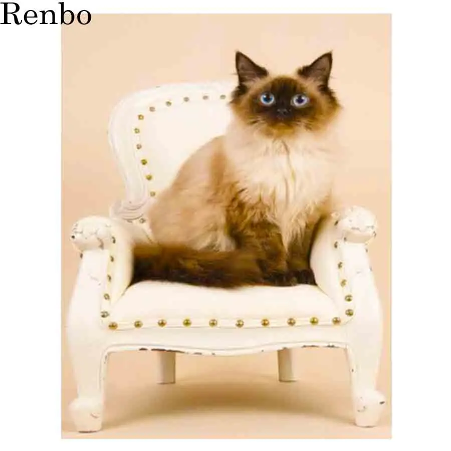 

Diy 5D Diamond Painting Cat Cute Pet Full Square Drill Diamond Embroidery Rhinestone Mosaic Wall Cross Stitch Kit Home Decor New
