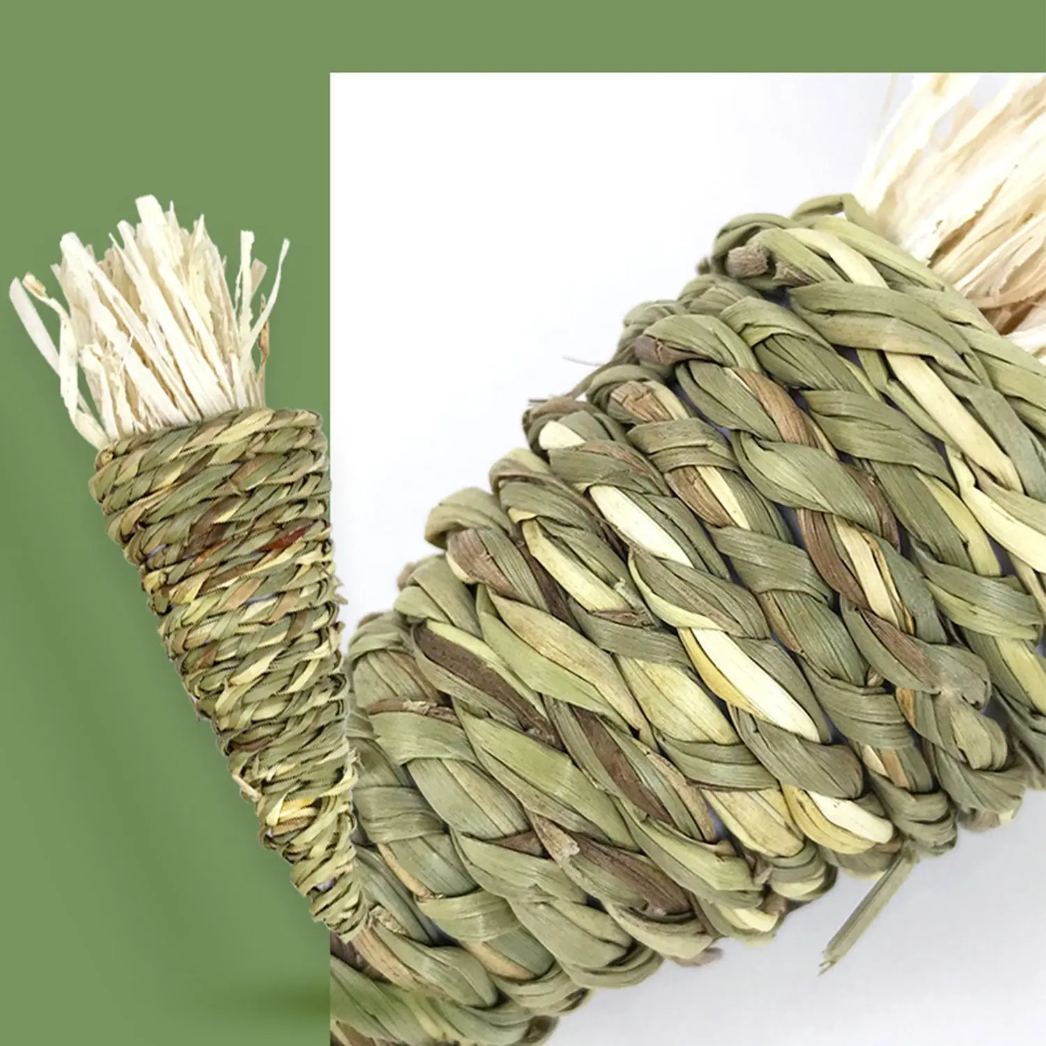 Новинка белка Шиншилла хомяк яблоко дерево молярный инструмент сладкий