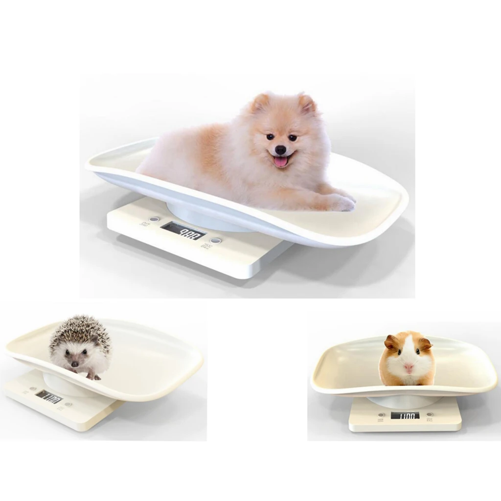 

Digital Pet Scale With g/ml/oz/lb Measure Small Animals Weight Accurately