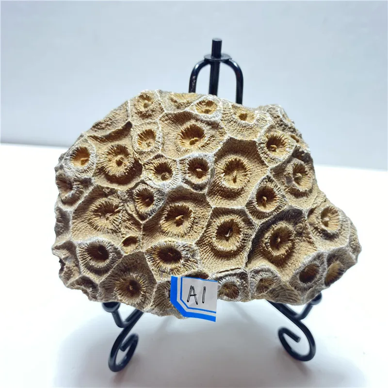 

Natural Quartz Crystal Cupulate Mineral Specimen Home Ornament Christmas Gift