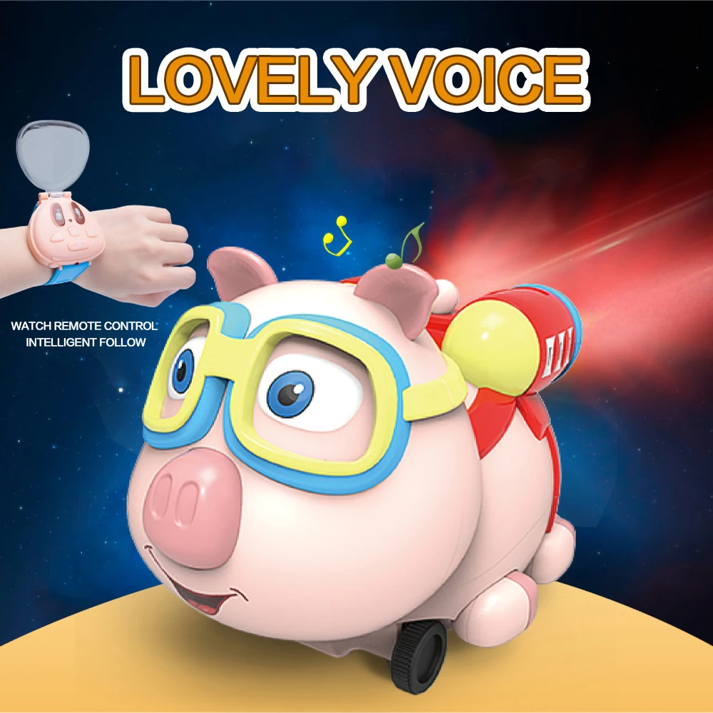 Высококачественный Радиоуправляемый игрушечный робот R09 в виде свиньи на