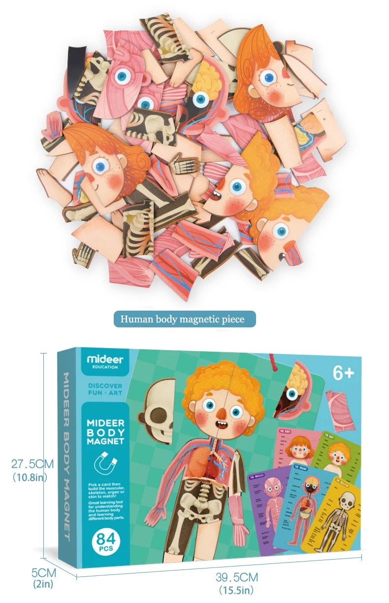 MiDeer детские игрушки-головоломки магнитное тело 6Y+ мышечная костная структура познавательная подвесная доска образование творческие игрушки для детей