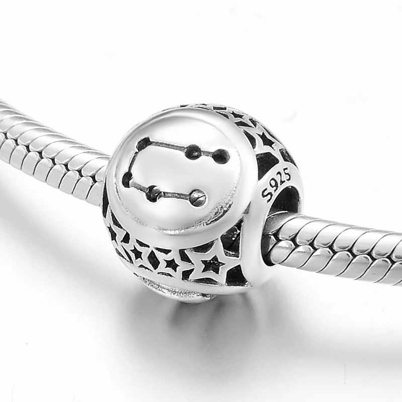 Креативная самодельная фотография серебряные близнецы звезды знаки