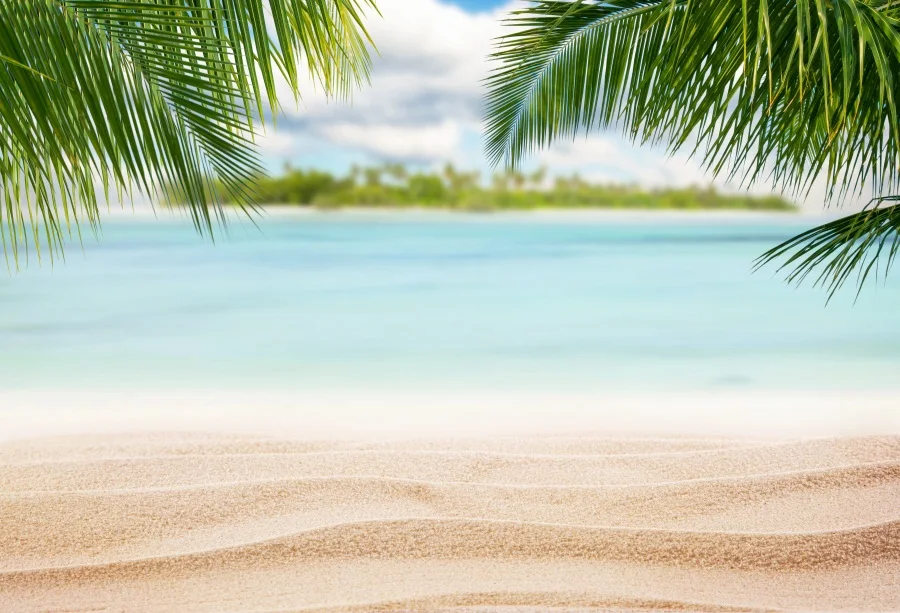 

Summer Backdrop for Photography Sea Beach Palm Tree Hawaii Holiday Baby Child Birthday Party Natural Scenic Background Photocall