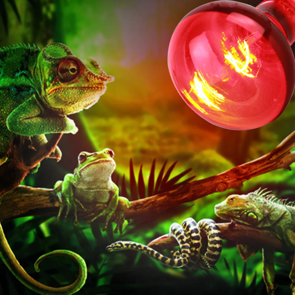 

R63 R80 R95 Red Heat Lamp Infrared Heating Lamp Spot Basking Bulb Reptiles Spotlight Bulb