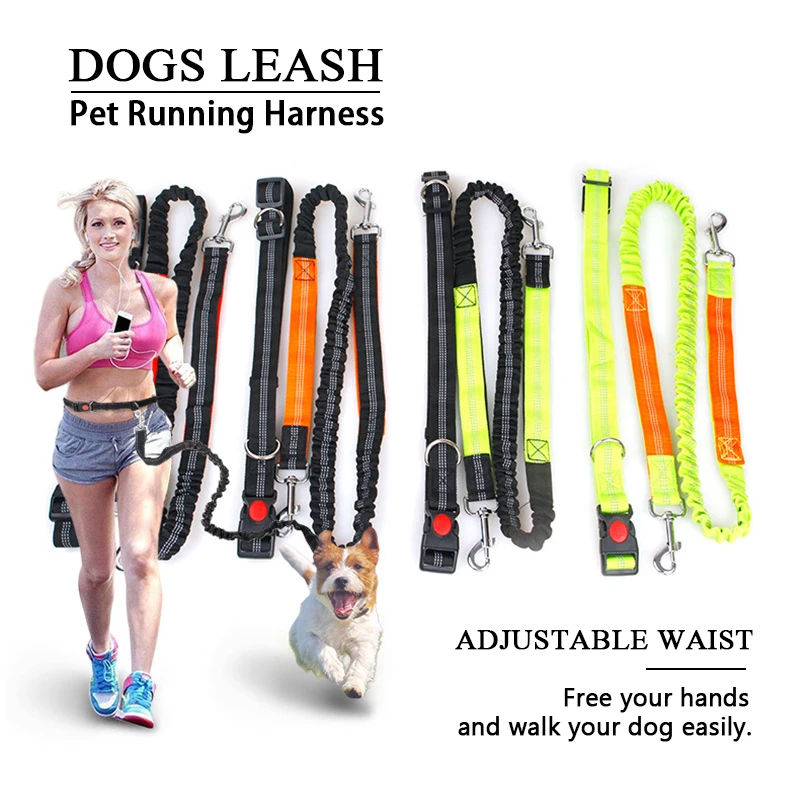 

Кота собаки любимчика и бега на улице тяговых канатов Светоотражающая эластичная Hands-free Тяговый ремень Регулируемый ремень Прогулки нагруд...