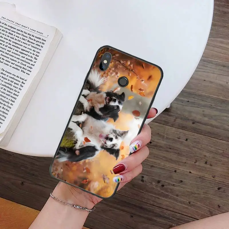 

Border Collie Dog Breed Phone Cases For Xiaomi Redmi 7 9t 9se k20 mi8 max3 lite 9 note 8 9s 10 pro Soft Silicone Shell Cover