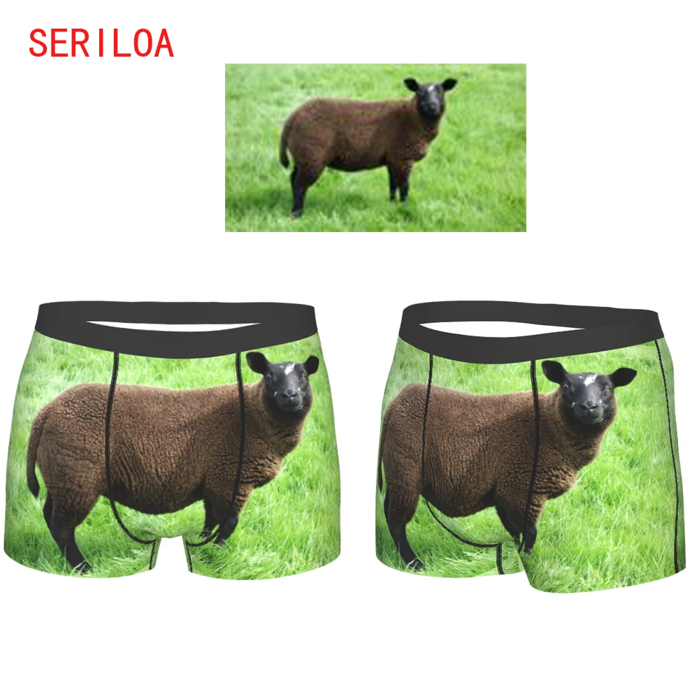 Man Underwear Custom Picture Logo Image Men Boxer Pants Breathable Comfortable Underpants 3D Print Custom Design