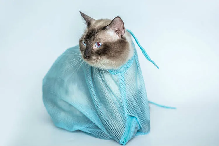 Многофункциональная сумка для мытья груминга кошек гвоздь резка ушей очищающие