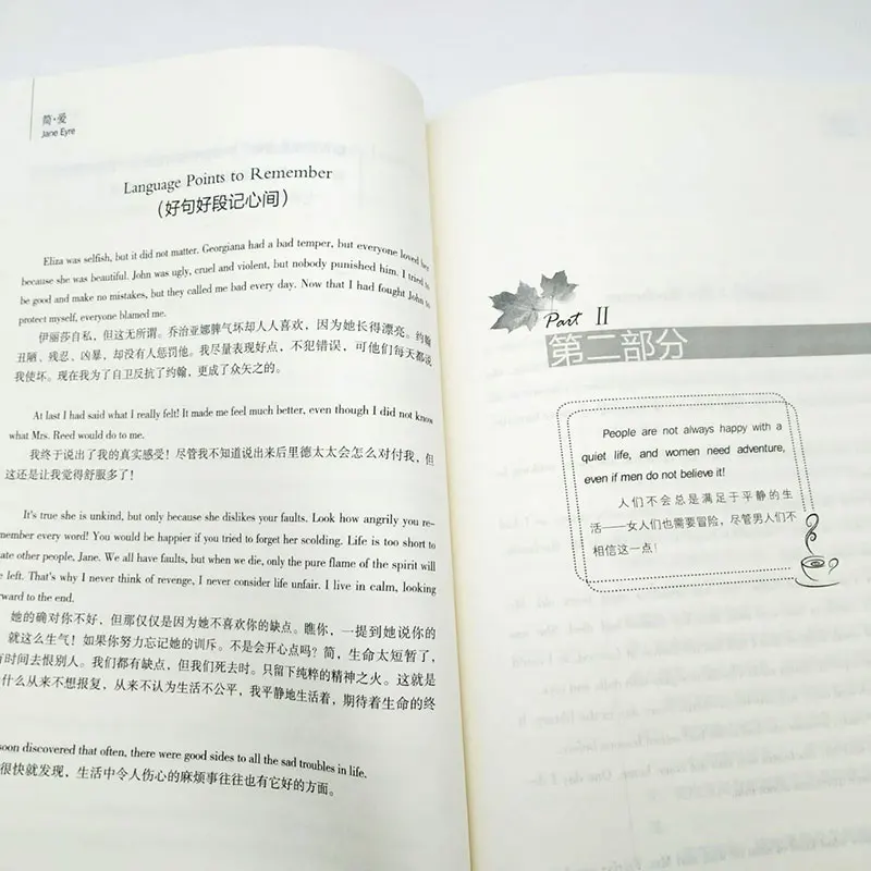 Всемирно известная Книга Роман: Цзянь ИИ очень полезная двуязычная китайская и
