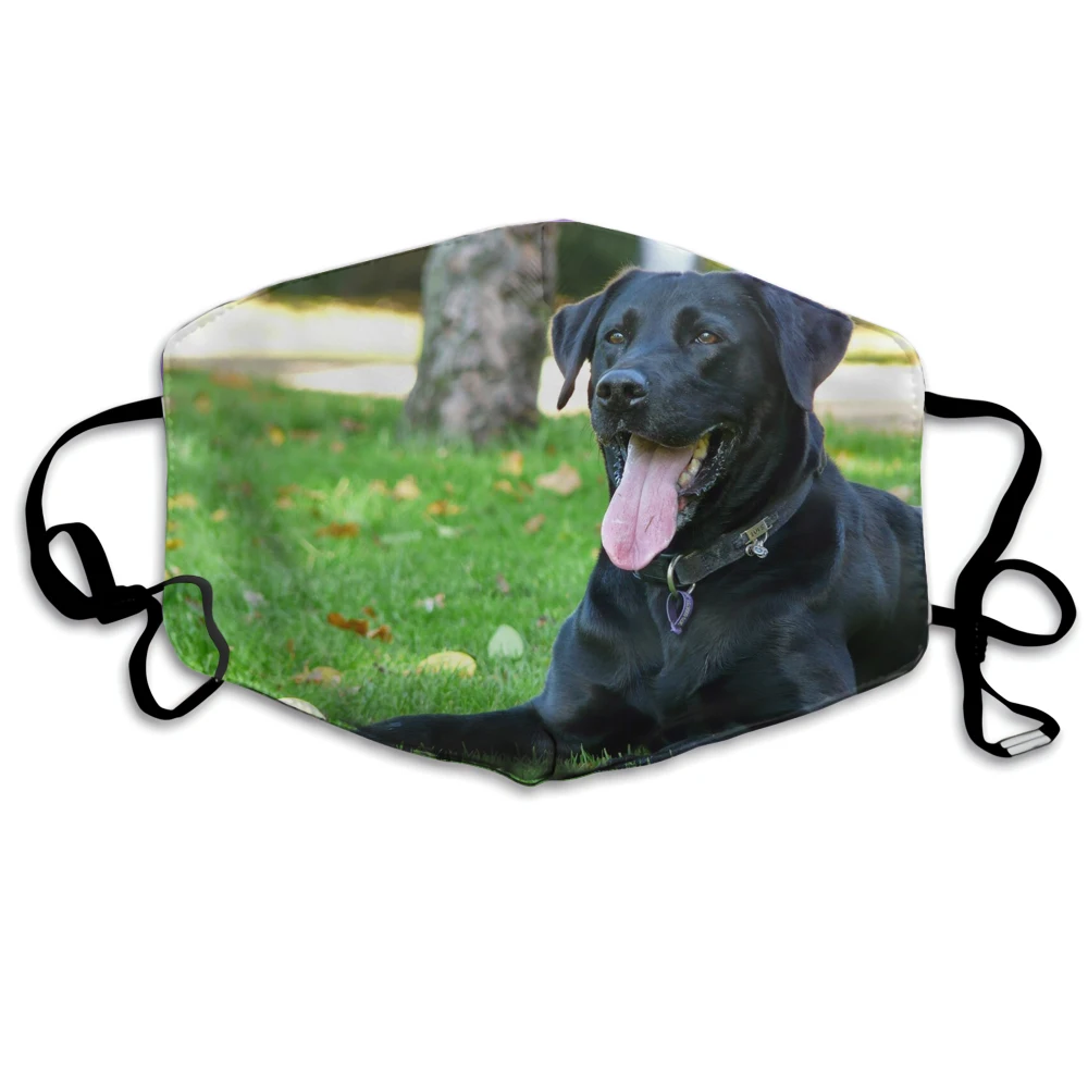 Маска для лица с изображением милой черной собаки Лабрадора непродуваемая